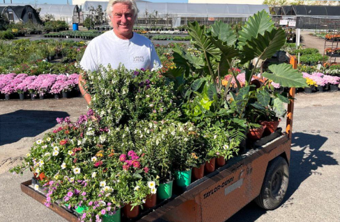 Escape to the Jungle: Claim Your Free Plant