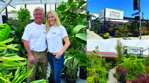 A Season of Gratitude: After One Year in Business, Urban Jungle Continues Making its Mark