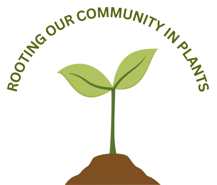 Urban Jungle Plants and Pottery